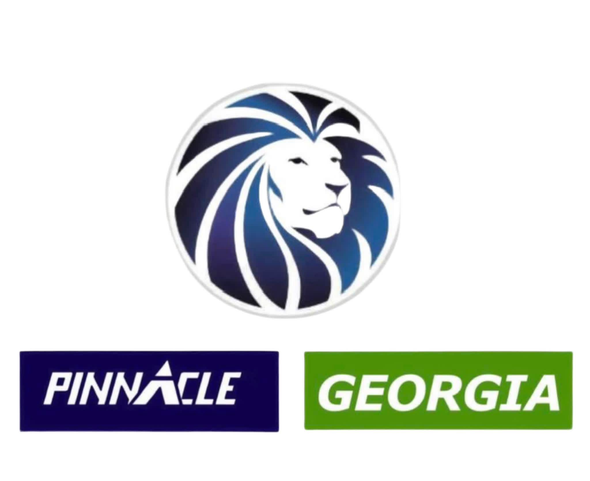 Pinnacle Georgia